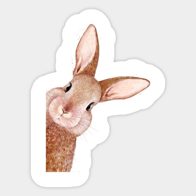 Peeping Rabbit Sticker by kodamorkovkart